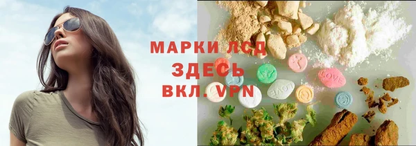 мяу мяу мука Алзамай