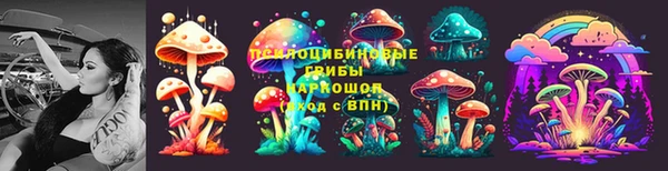 мяу мяу мука Алзамай