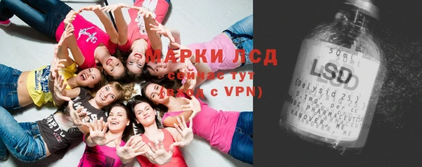 мяу мяу мука Алзамай