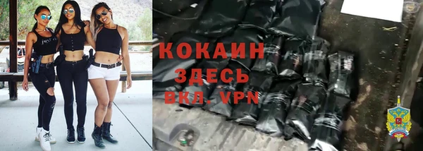 мяу мяу мука Алзамай