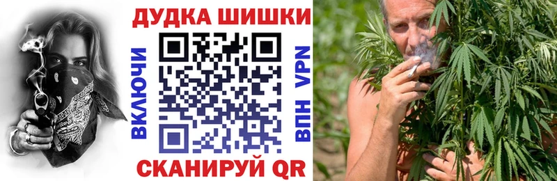 Шишки марихуана White Widow  продажа наркотиков  Приморск 